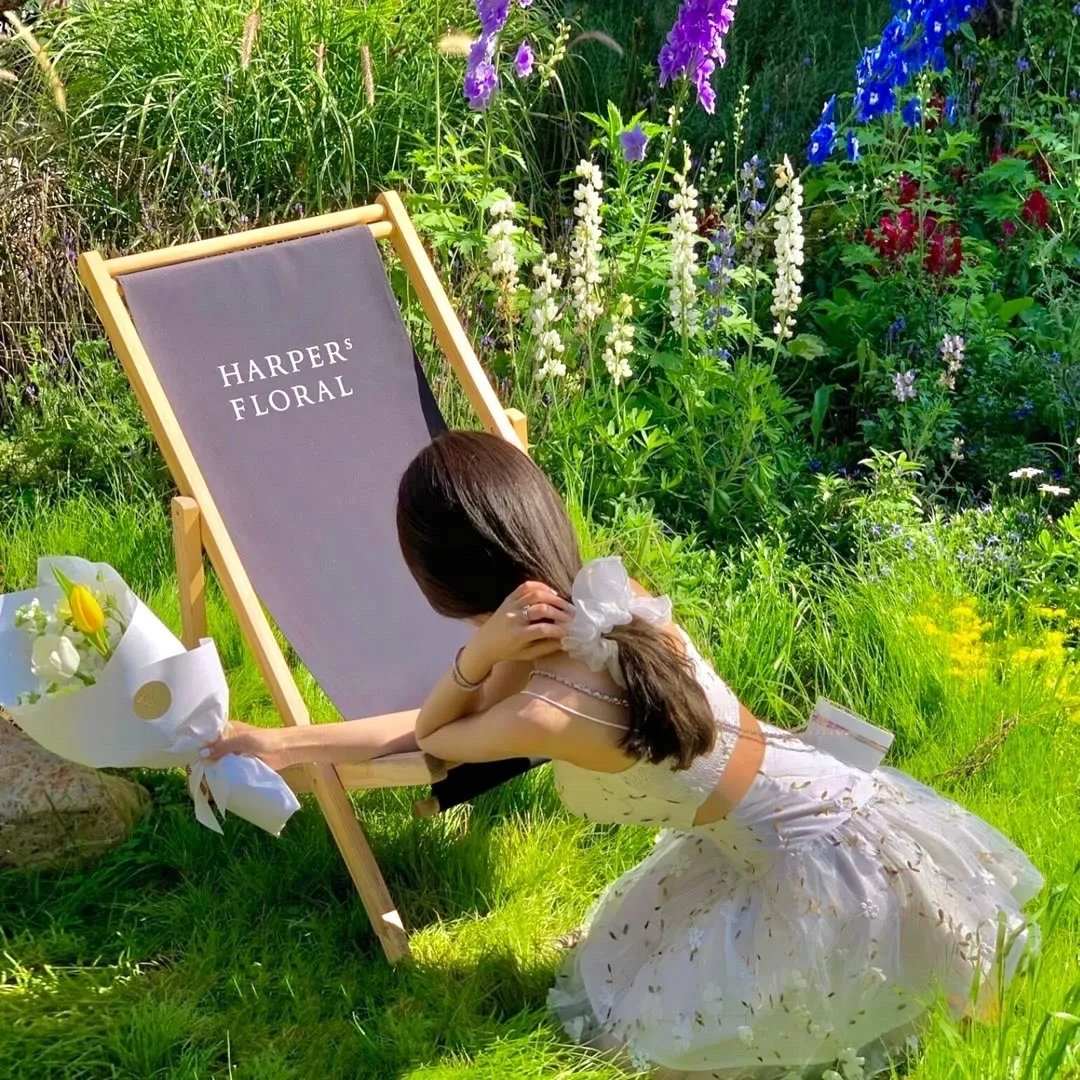 扑通扑通我的人生